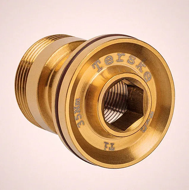 Gold Titanium Full Mount Bolt for SRAM XX X0 GX Transmission T-Type Derailleurs