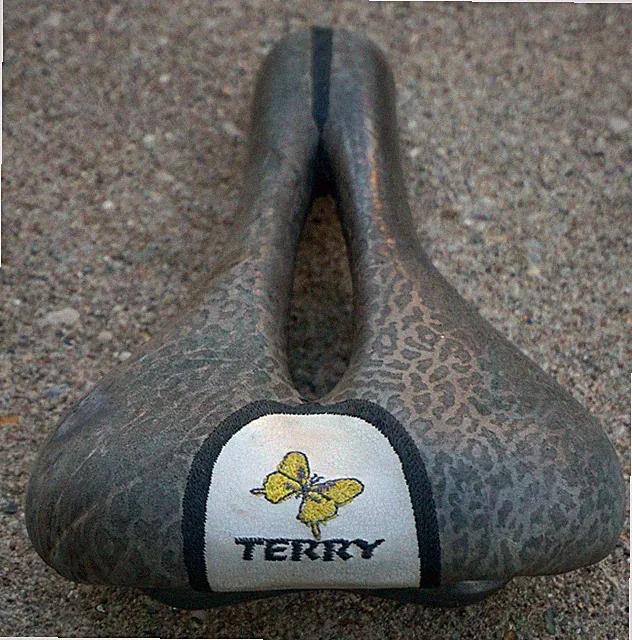Terry Butterfly Titanium Rail Saddle Cutout Seat Vintage Selle Italia Women Lady